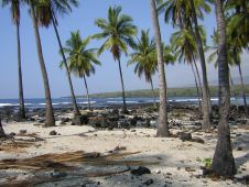 Big Island Health and Wellness