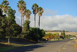 Big Island Rentals, Hawaii