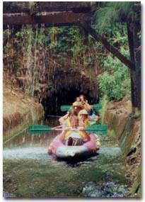 Hawaii Vacation Rentals, Big Island Vacation Rentals