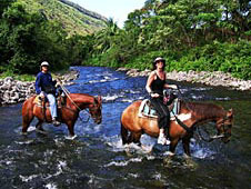 Big Island, Hamakua Coast, Waipio Valley