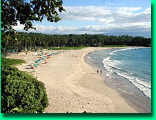 Big Island, Kohala, Coast, Mauna Kea beach with public access