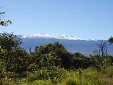 Big Island hiking