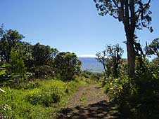 Big Island Hiking