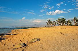 Hawaii Beach, Big Island, Vacation Rentals