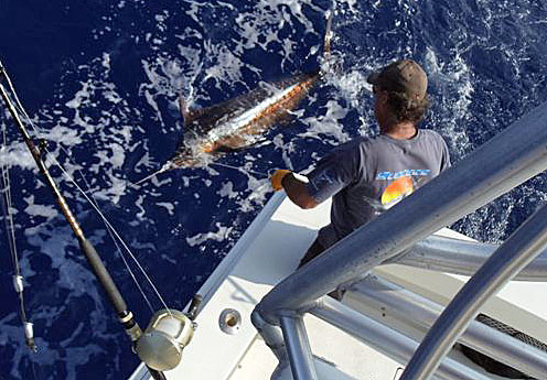 Big Island of Hawaii Fishing