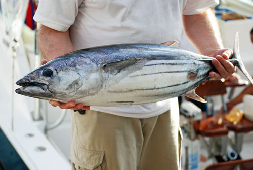 Big Island of Hawaii Fishing