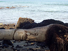Big Island, Kohala Coast, Mauna Lani beach walk, palm tree carving