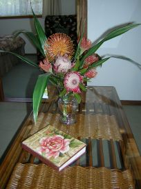 Big Island Vacation Rental